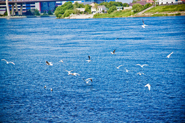 Similar image 21271831