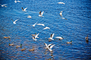 Similar image 21273916