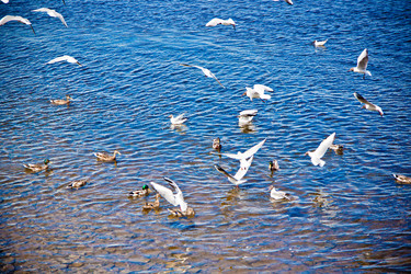 Similar image 21273917