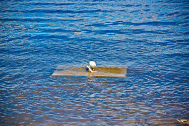 Similar image 21273919