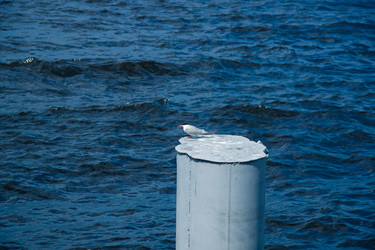 Similar image 21273926