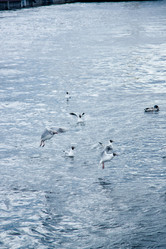 Similar image 21273929