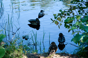 Similar image 21273930