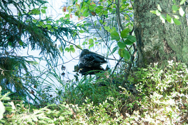 Similar image 21273934