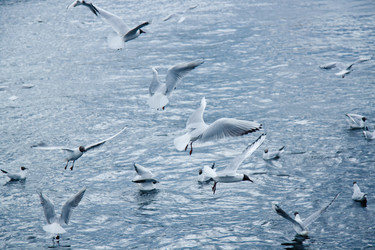 Similar image 21273935