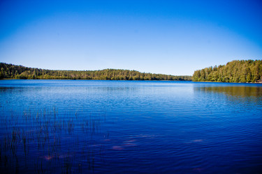 Similar image 21273936