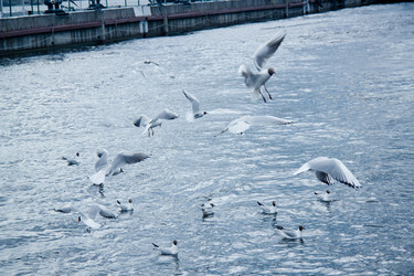 Similar image 21275075