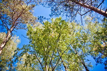 Similar image 21275076