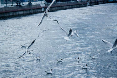 Similar image 21275077