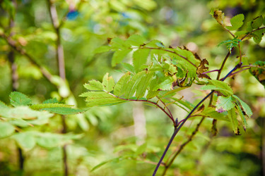 Similar image 21275080