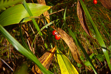 Similar image 21275082