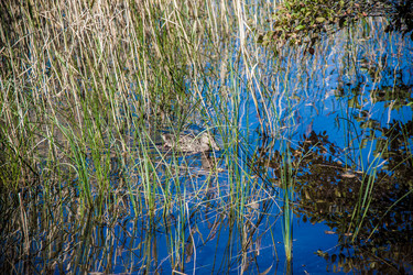 Similar image 21259962