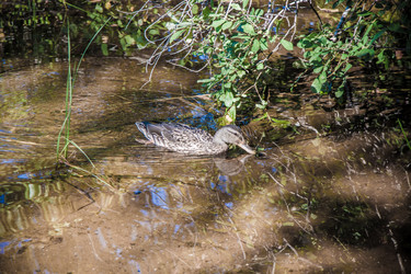 Similar image 21259964