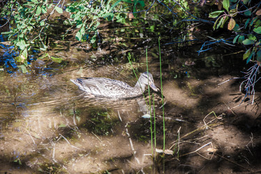 Similar image 21259965