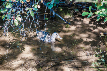 Similar image 21259980