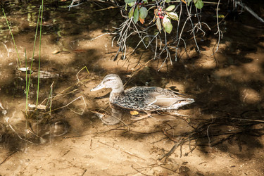 Similar image 21259981