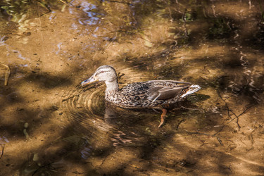 Similar image 21259982