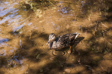 Similar image 21259983