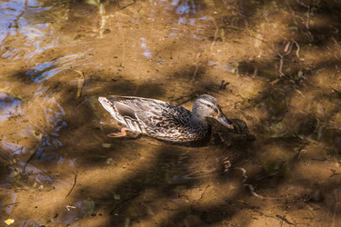 Similar image 21259984