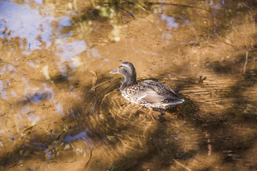 Similar image 21273937