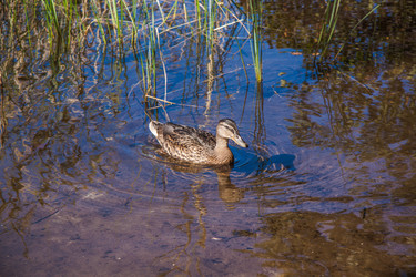 Similar image 21273939