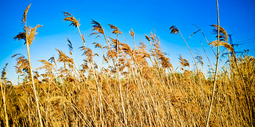 Similar image 21275084