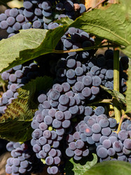 Similar image 21261049