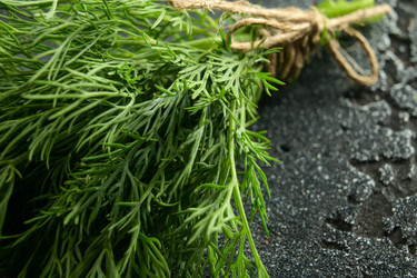 Similar image 21261050