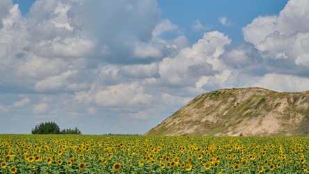 Similar image 21261054