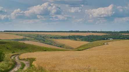 Similar image 21261055