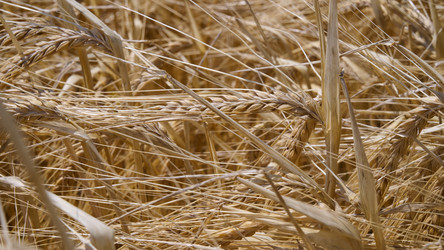 Similar image 21261057