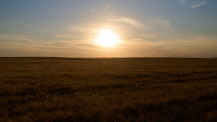 Similar image 21261076