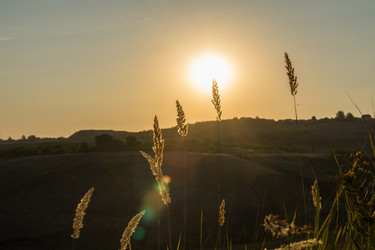 Similar image 21261083