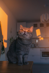 Similar image 21274295