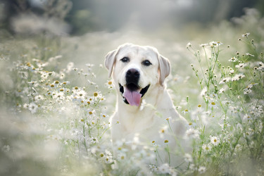 Similar image 21274296