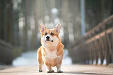 Similar image 21274297