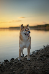 Similar image 21269705