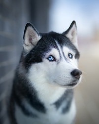 Similar image 21269708