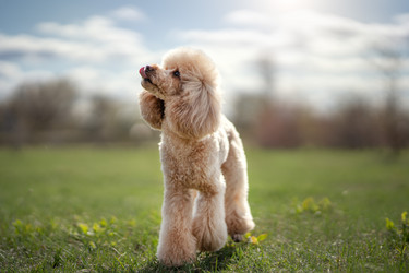 Similar image 21269709