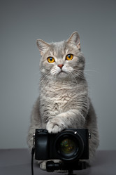 Similar image 21269710