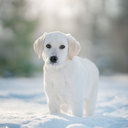 Similar image 21269713