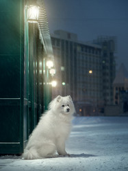 Similar image 21269714