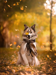 Similar image 21269718