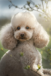 Similar image 21269719