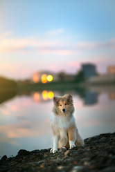 Similar image 21269721