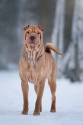 Similar image 21269724