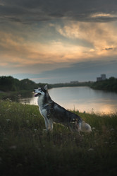 Similar image 21269726