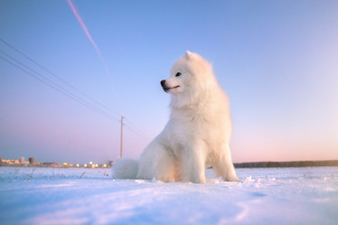 Similar image 21269728