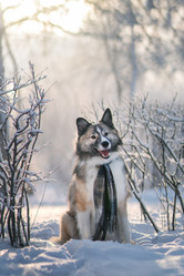 Similar image 21269730