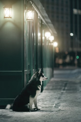 Similar image 21269732